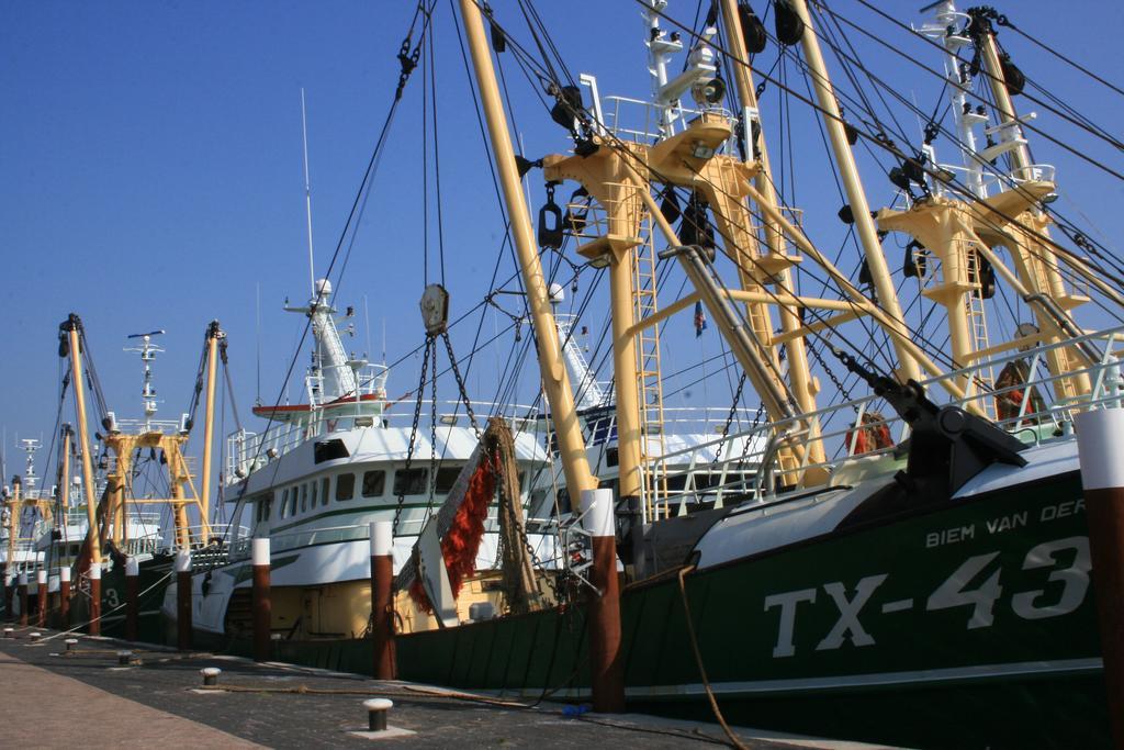 Logies De Sering Texel De Koog  Værelse billede